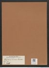 Fragilaria linearis Castrac. (de-Toni-Nr.: Genus 73, Species 2729) Zeichnungen Sammlung Grunow Mappe 02942 (Herbarium_W_Grunow_drawings_Folder_02942)